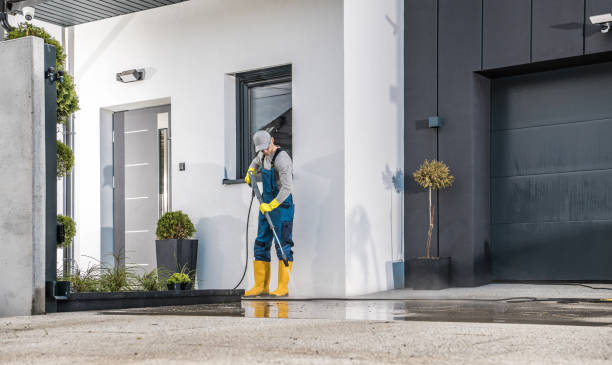 Best Spring Cleaning  in Gunbarrel, CO